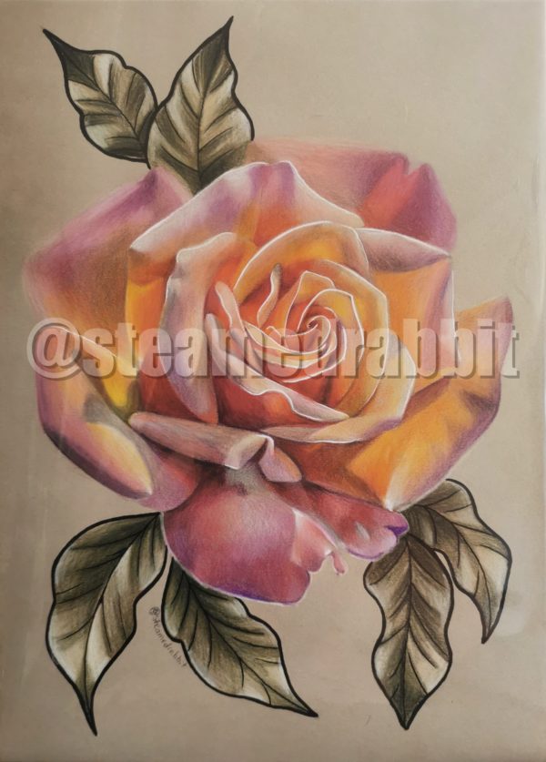 Rose Drawing I Prints