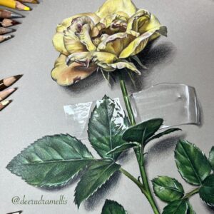 She Used To Be… - original pencil